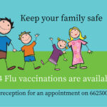 Flu vaccinations 2024